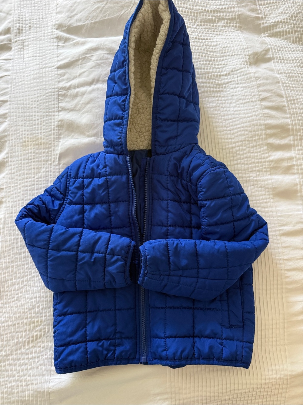 Janie and Jack Royal Blue Quilted Hooded Puffer